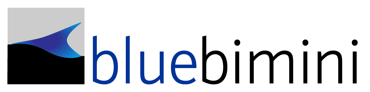 Blue Bimini